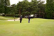 169.jpg